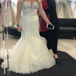 Maggie Sottero Alistaire Wedding gown/ dress